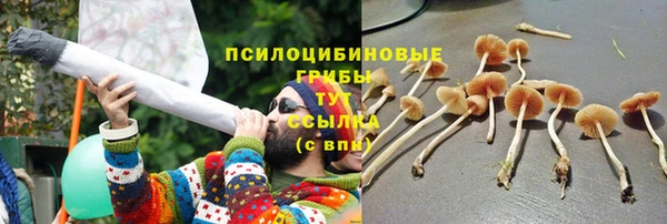 метамфетамин Белокуриха